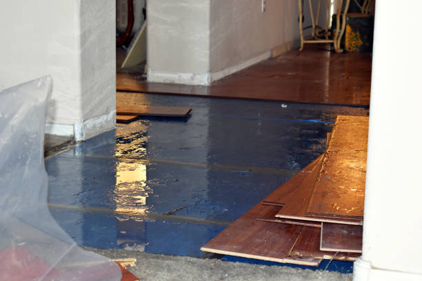 Professional Basement Flooding technician working in Bayport, NY